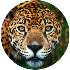 Maya Alpizar :an3:'s avatar